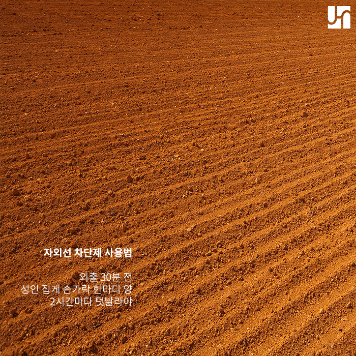 건강한 여름 나기를 위한 자외선 차단제 선택법&사용법 관련 이미지 2