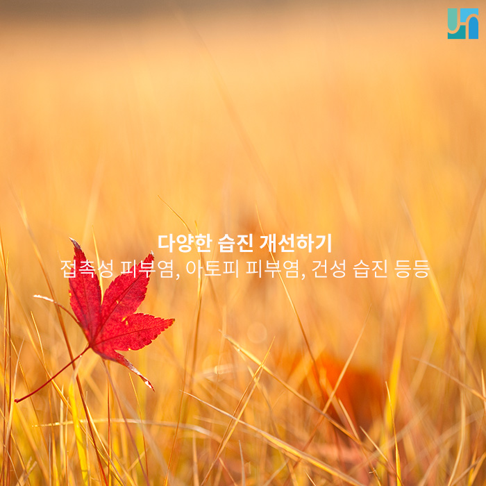 습진 개선하고 삶의 효율 높이고 싶다면 관련 이미지 1