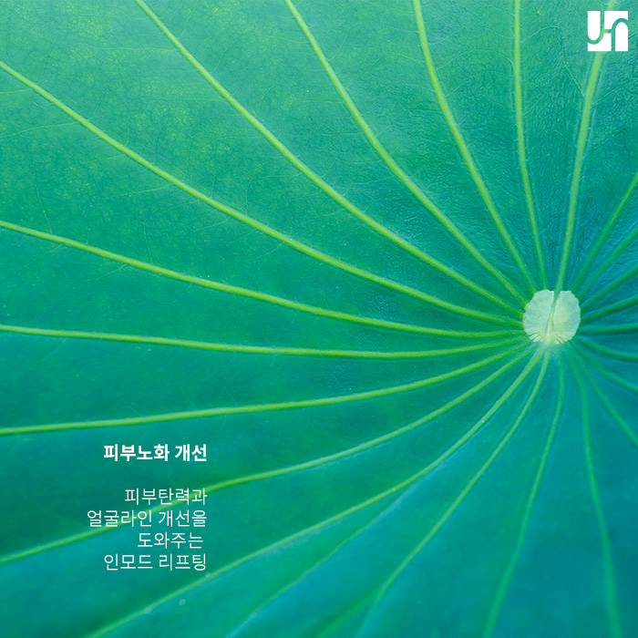 인모드 리프팅 통해 피부 탄력과 볼륨감까지 관련 이미지 2