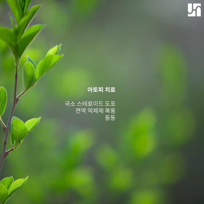 아토피 치료법 중증도에 따라 달라질 수 있어요! 관련 이미지 4