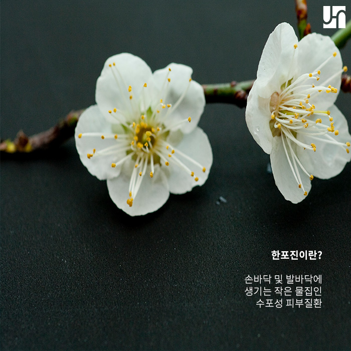 손가락 사이 수포, 한포진인가요? 관련 이미지 2