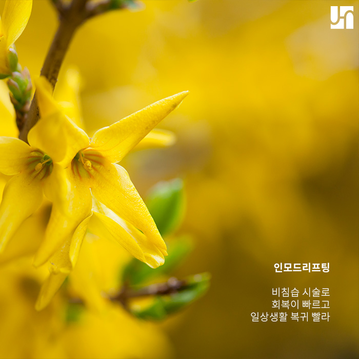 인모드리프팅의 다양한 효과 관련 이미지 4