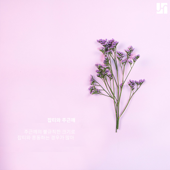 기미, 주근깨 같은 색소침착 개선해 주는 피코 레이저가 궁금하다면 관련 이미지 4