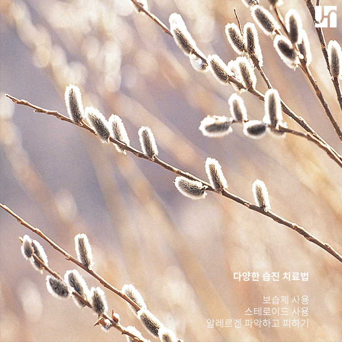 습진 개선하고 삶의 효율 높이고 싶다면 관련 이미지 3