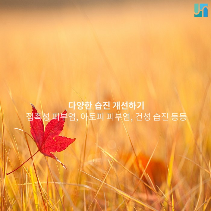 생각보다 다양한 종류의 습진, 관리는 어떻게? 관련 이미지 1