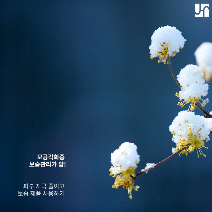 어린이 모공 각화증 발생 원인과 치료법에 대해서 관련 이미지 4