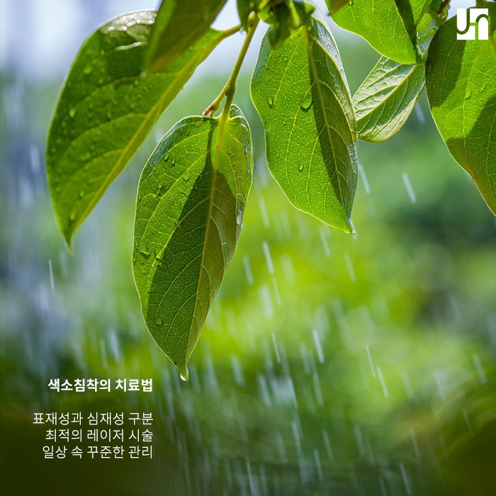 다양한 색소 침착, 치료법을 찾기 위해선 관련 이미지 4