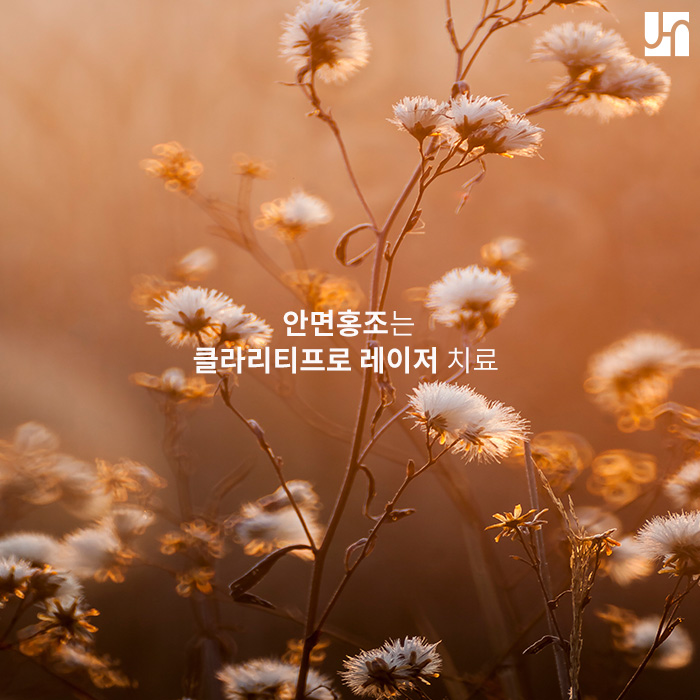 내방역 피부과, 안면홍조는 클라리티프로 레이저 치료 관련 이미지 1