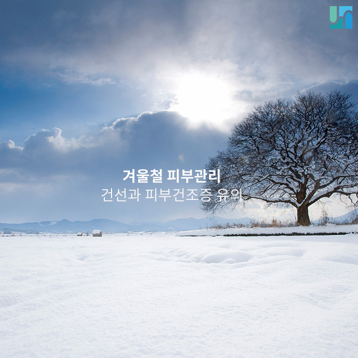 건조한 겨울에 생기기 쉬운 건선과 피부 건조증 예방하기 위해선 관련 이미지 1