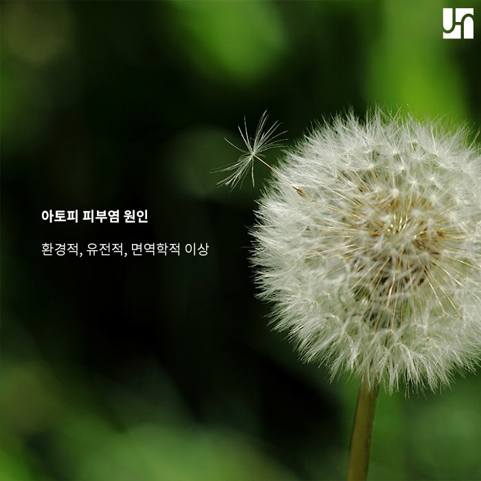 꾸준한 관리가 필요한 아토피 피부염 :: 서초역 전혜주피부과 관련 이미지 2