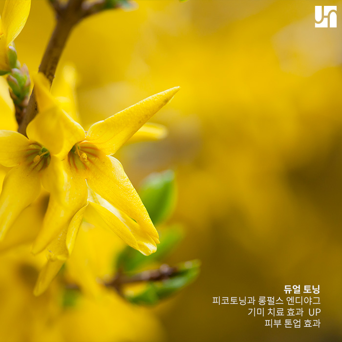 [방배역 피부과] 기미 지우는 피코토닝,롱펄스 듀얼토닝 관련 이미지 4