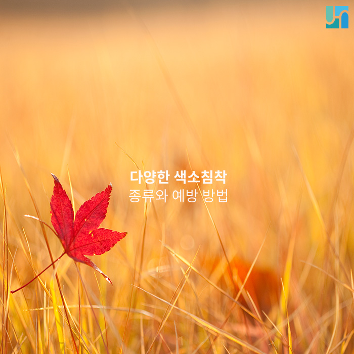 [서초역 피부과] 색소침착의 종류와 예방법 관련 이미지 1