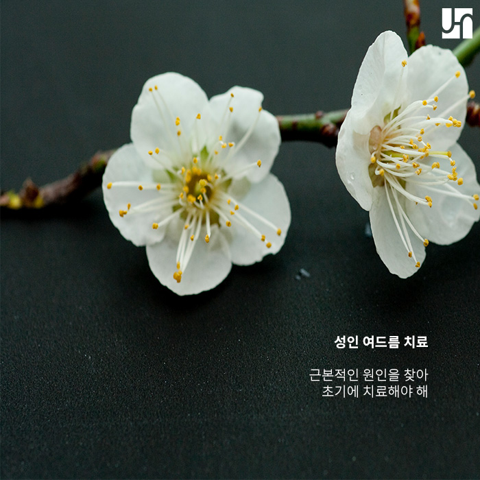 성인 여드름이 부쩍 늘어난 이유가 궁금하다면? 관련 이미지 4