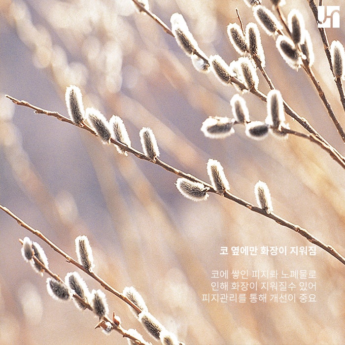 피지 분비가 많은 코, 어떻게 관리해야 할까? 관련 이미지 2