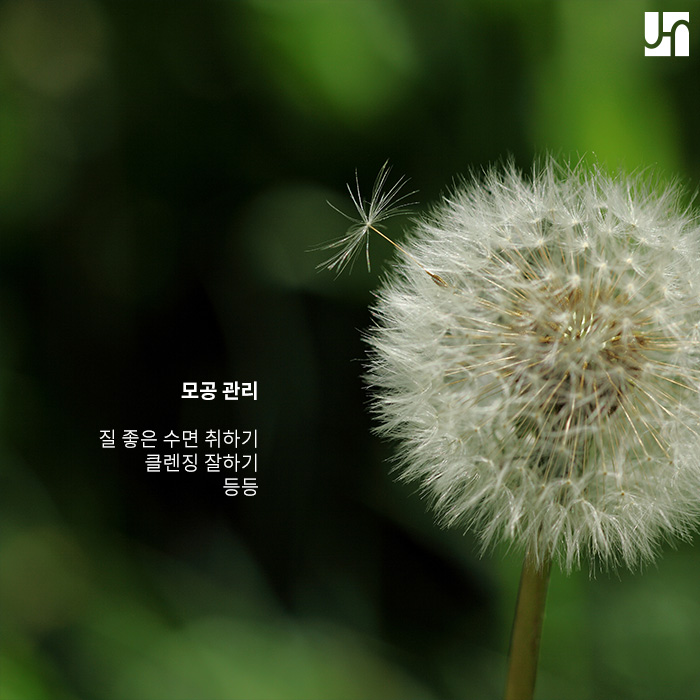 [방배역피부과] 모공 관리의 핵심은 꾸준함! 관련 이미지 3