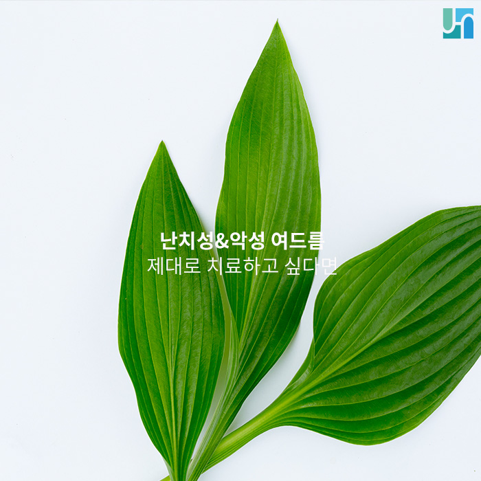 난치성&악성 여드름, 제대로 치료하고 싶다면 관련 이미지 1