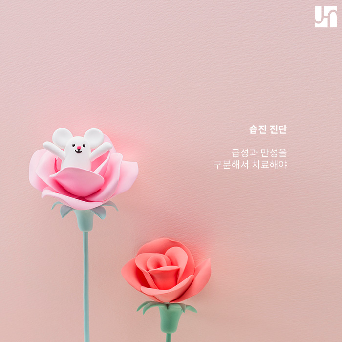 급성 혹은 만성으로 나타날 수 있는 습진, 근본적인 치료법은? 관련 이미지 2