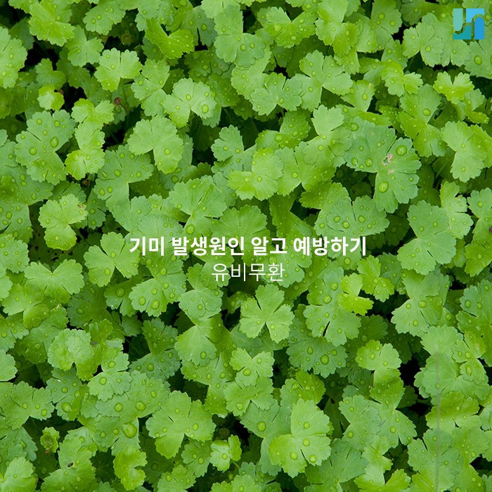 유비무환의 지혜, 기미 발생 원인 미리 알고 예방하세요! 관련 이미지 1