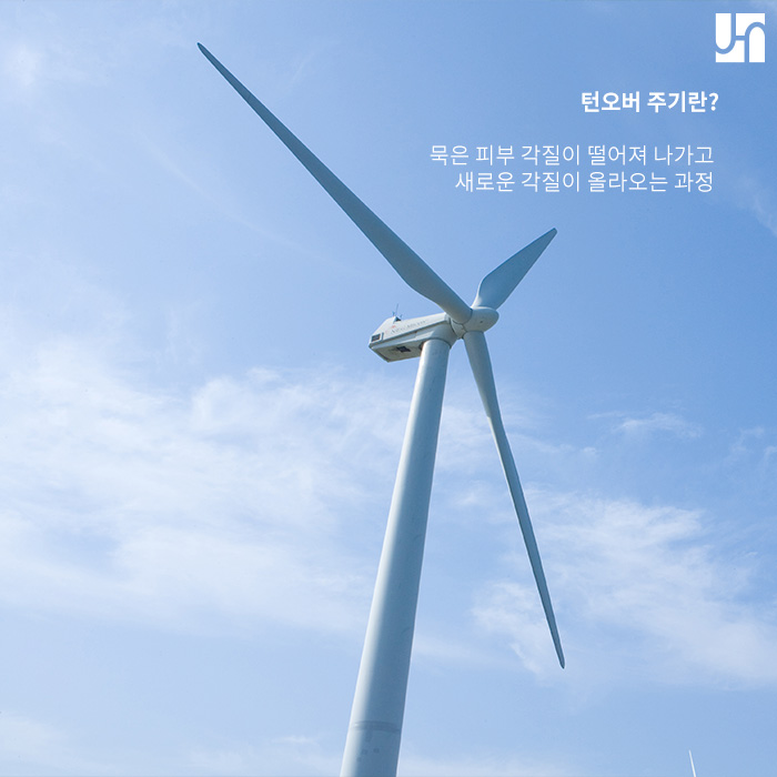 [서초역피부과] 동안이 되고 싶다면 턴오버 주기에 주목하기 관련 이미지 2