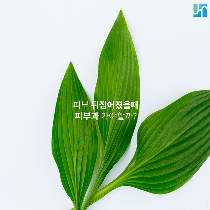 방배역 피부과, 피부 뒤집어졌을 때 피부과 가야 할까? 관련 이미지 1