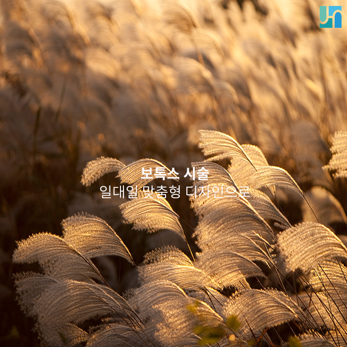 일대일 맞춤형 디자인으로 이루어지는 보톡스 시술 관련 이미지 1