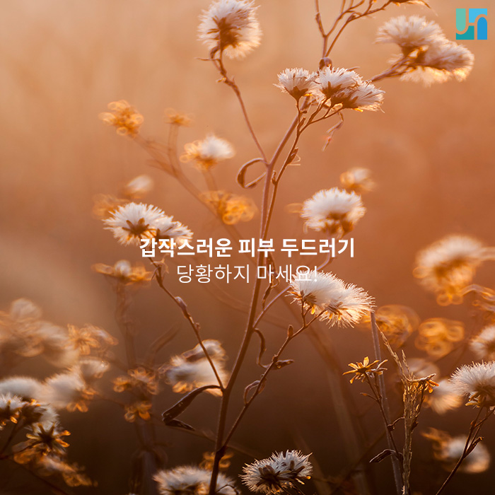 갑작스러운 피부 두드러기 당황하지 마세요! 관련 이미지 1