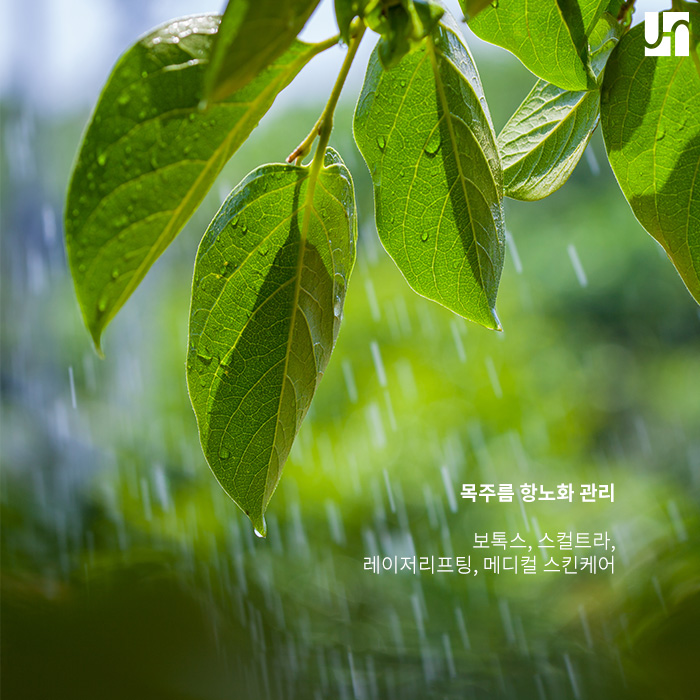 서초역 피부과, 목주름 관리 어떻게 해야 하나요? 관련 이미지 4