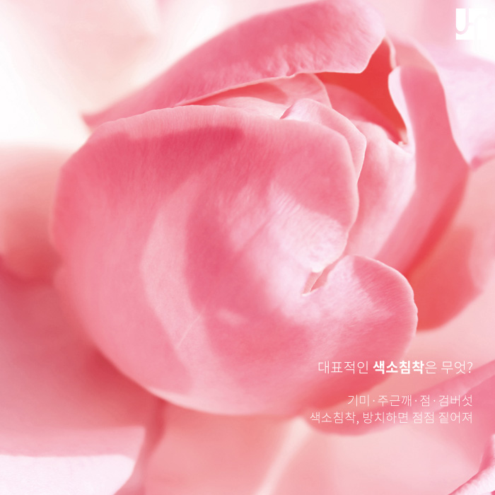 얼굴에서 붉은빛이 도는 색소침착이 걱정된다면 관련 이미지 2