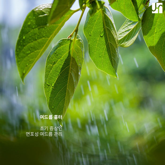 성인여드름 원인을 알고 관리하자 :: 내방역 피부과 관련 이미지 4