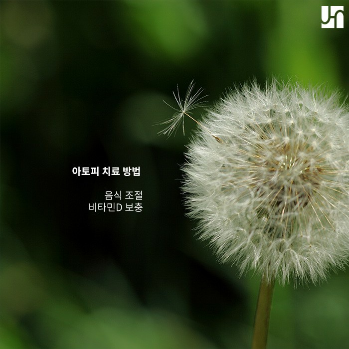 아토피 피부염 증상 완화를 위한 생활 습관! 관련 이미지 4