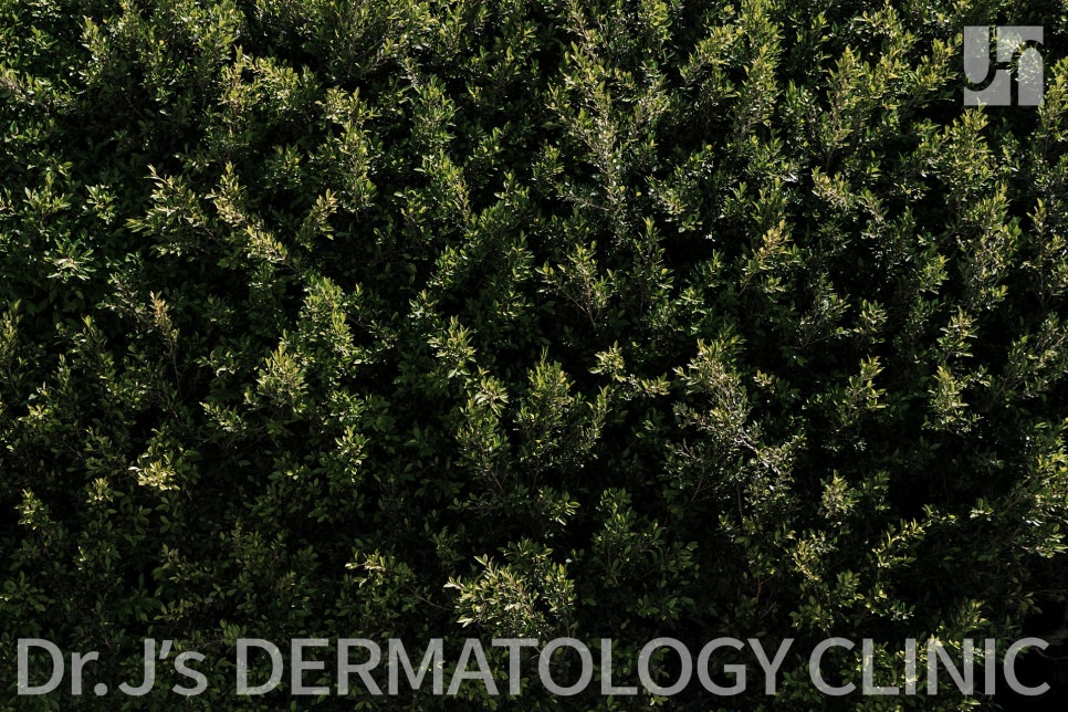 서초구 피부과 여드름흉터 피부 자신감을 잃었어요 관련 이미지 2