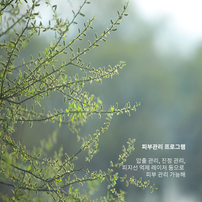 봄철 피부 관리 무엇보다 중요한 것은? 관련 이미지 4