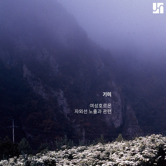 다양한 색소 질환, 발생 원인에 맞춘 치료 방법 관련 이미지 3