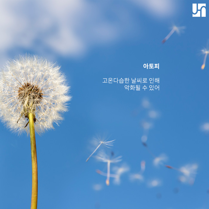 무더운 여름철, 더욱 주의해야 하는 피부 질환에 대해서 관련 이미지 4