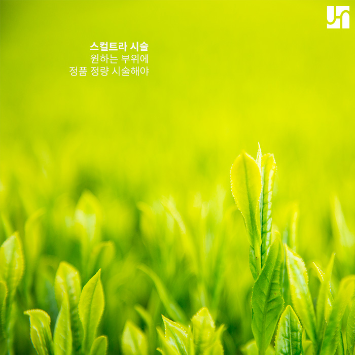 먹는 콜라겐만으론 부족하다면 스컬트라! 관련 이미지 3