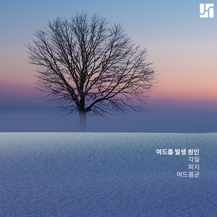 [방배동 피부과] 여드름, 원인부터 치료까지 관련 이미지 2