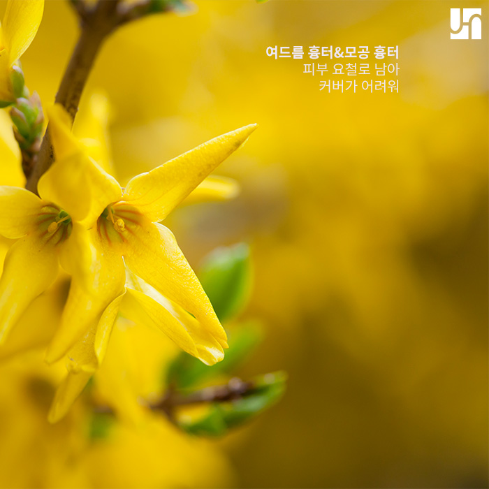 얼굴 흉터로 받은 마음의 상처까지 깨끗하게 지워봐요 관련 이미지 2