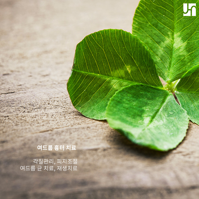 여드름, 함부로 짜면 안 되는 이유 관련 이미지 4