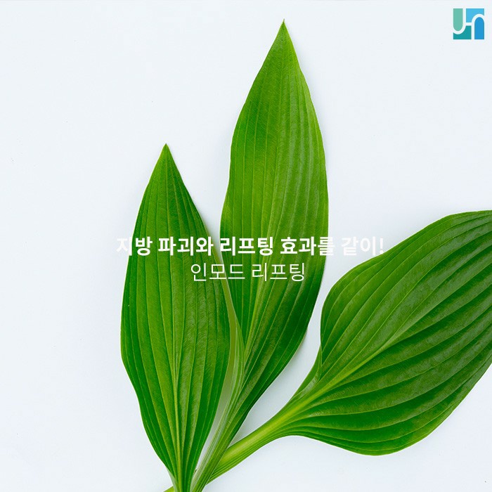 인모드 리프팅 시술 원리와 효과에 대해서 궁금하다면 관련 이미지 1