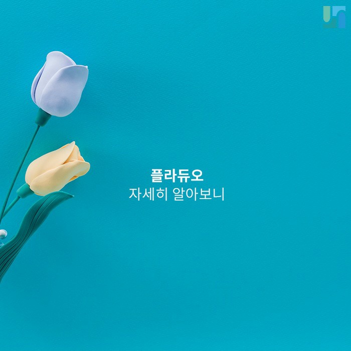 플라즈마를 이용하는 플라듀오, 자세히 알아보니 관련 이미지 1