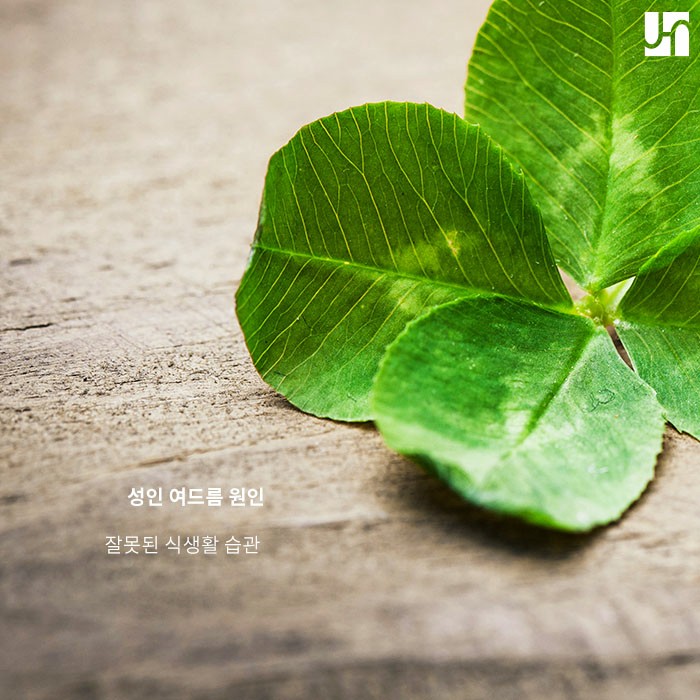 성인여드름 원인을 알고 관리하자 :: 내방역 피부과 관련 이미지 2