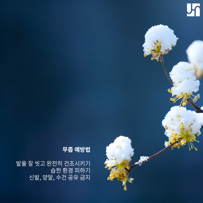 손발톱 무좀 때문에 고민이라면 핀포인트 레이저 시술! 관련 이미지 4