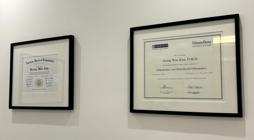 THE IMPORTANCE OF SEEKING DENTAL TREATMENT FROM DIPLOMATE, AMERICAN BOARD OF ORTHODONTICS CERTIFIED 관련 이미지 1