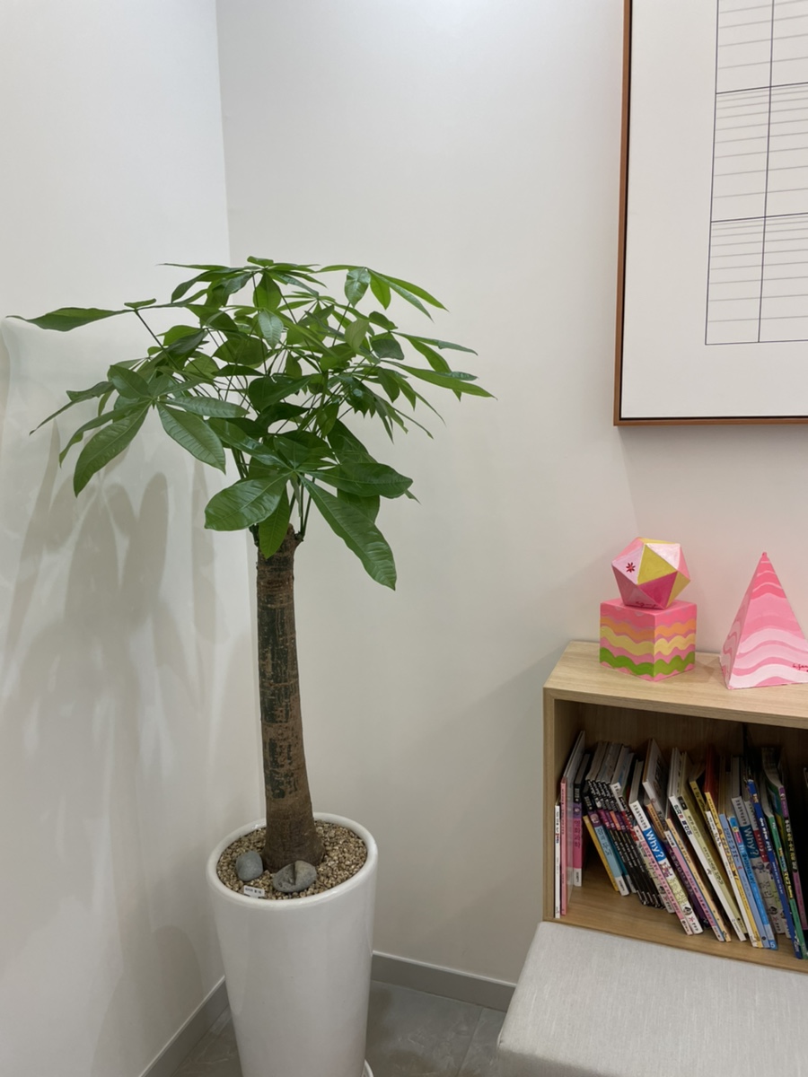 외국인 전문 치과 유펜바른치과 관련 이미지 6