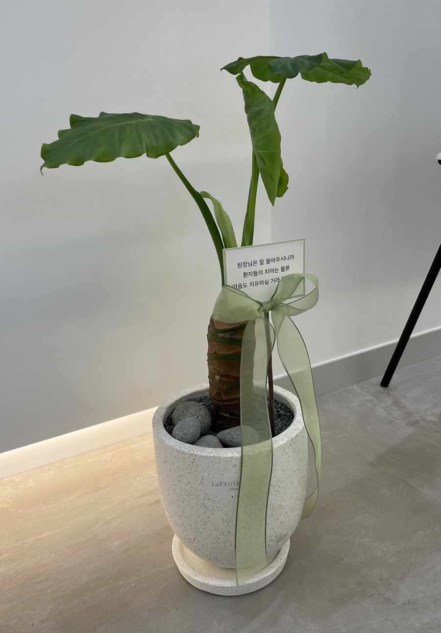 연세가 엄청 많으신데도 전체 임플란트 수술이 가능하다구요? 관련 이미지 9