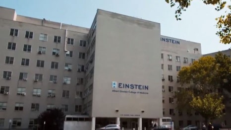 요즘 핫뉴스인 뉴욕 관련 이미지 6