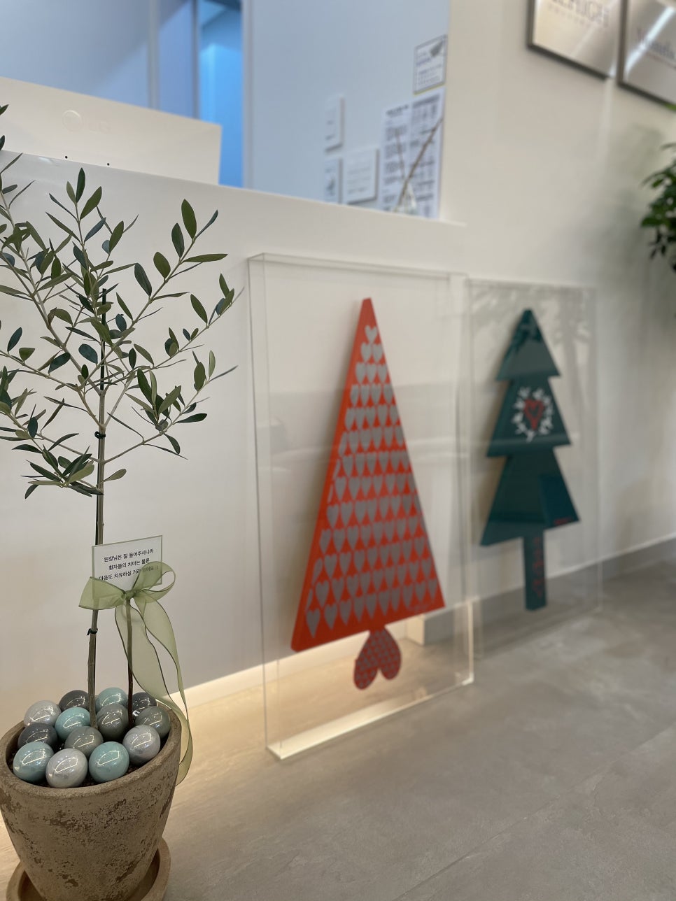 봄 맞이 화분 관련 이미지 1