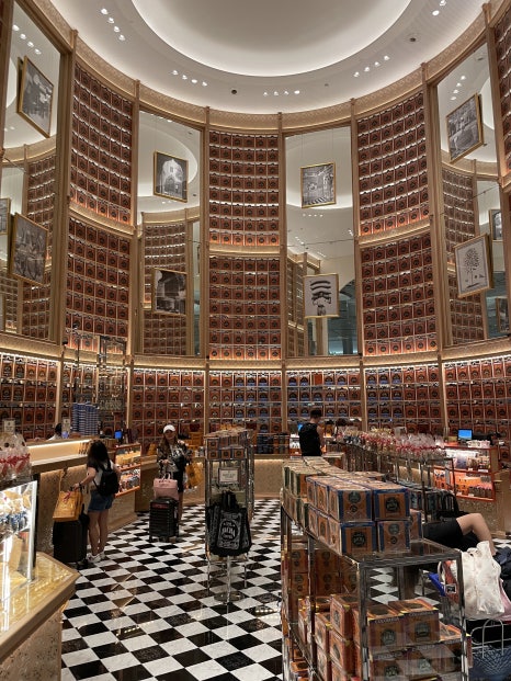 2023 Invisalign APAC 아시아학회 싱가포르에 다녀왔어요!!(인비절라인 아시아회담ㅣ마리나베이샌즈ㅣ싱가포르맛집) 관련 이미지 29