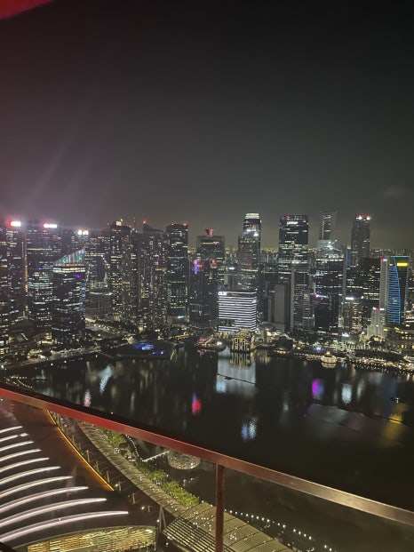 2023 Invisalign APAC 아시아학회 싱가포르에 다녀왔어요!!(인비절라인 아시아회담ㅣ마리나베이샌즈ㅣ싱가포르맛집) 관련 이미지 18