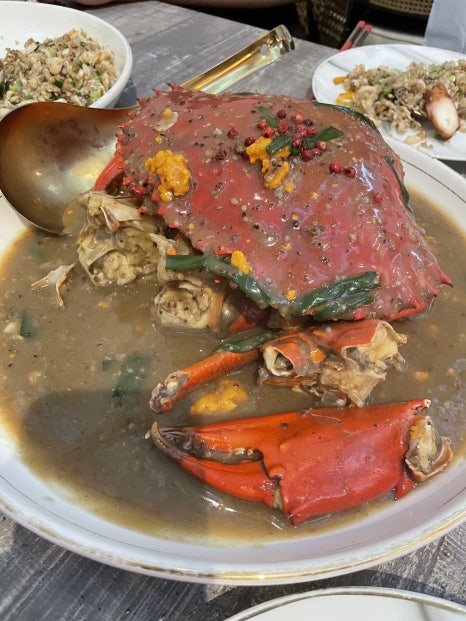 2023 Invisalign APAC 아시아학회 싱가포르에 다녀왔어요!!(인비절라인 아시아회담ㅣ마리나베이샌즈ㅣ싱가포르맛집) 관련 이미지 21